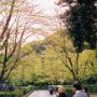 Kyoto, Japan